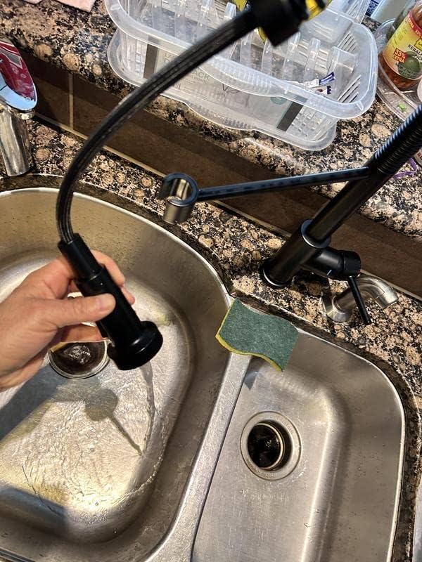 Glacier Bay Paulina Single-Handle Spring Neck Pull Down Sprayer Kitchen Faucet in Matte Black