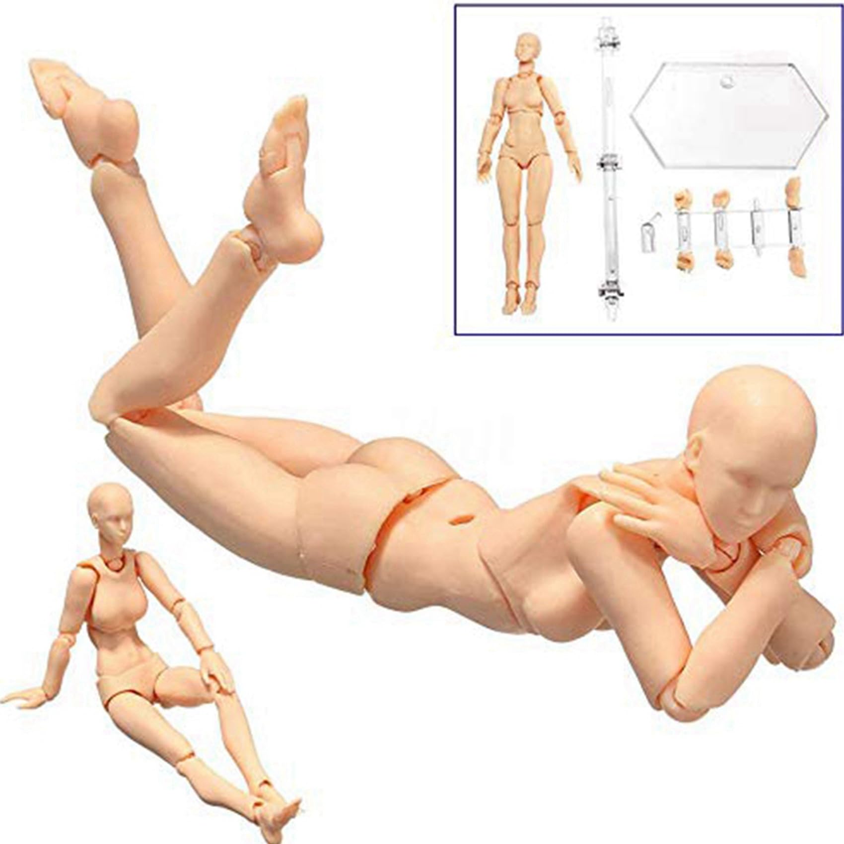 Wuden 2X Body Doll, Artists Manikin Blockhead Jointed Mannequin Drawing Figures Male+Female Set (Skin Color)