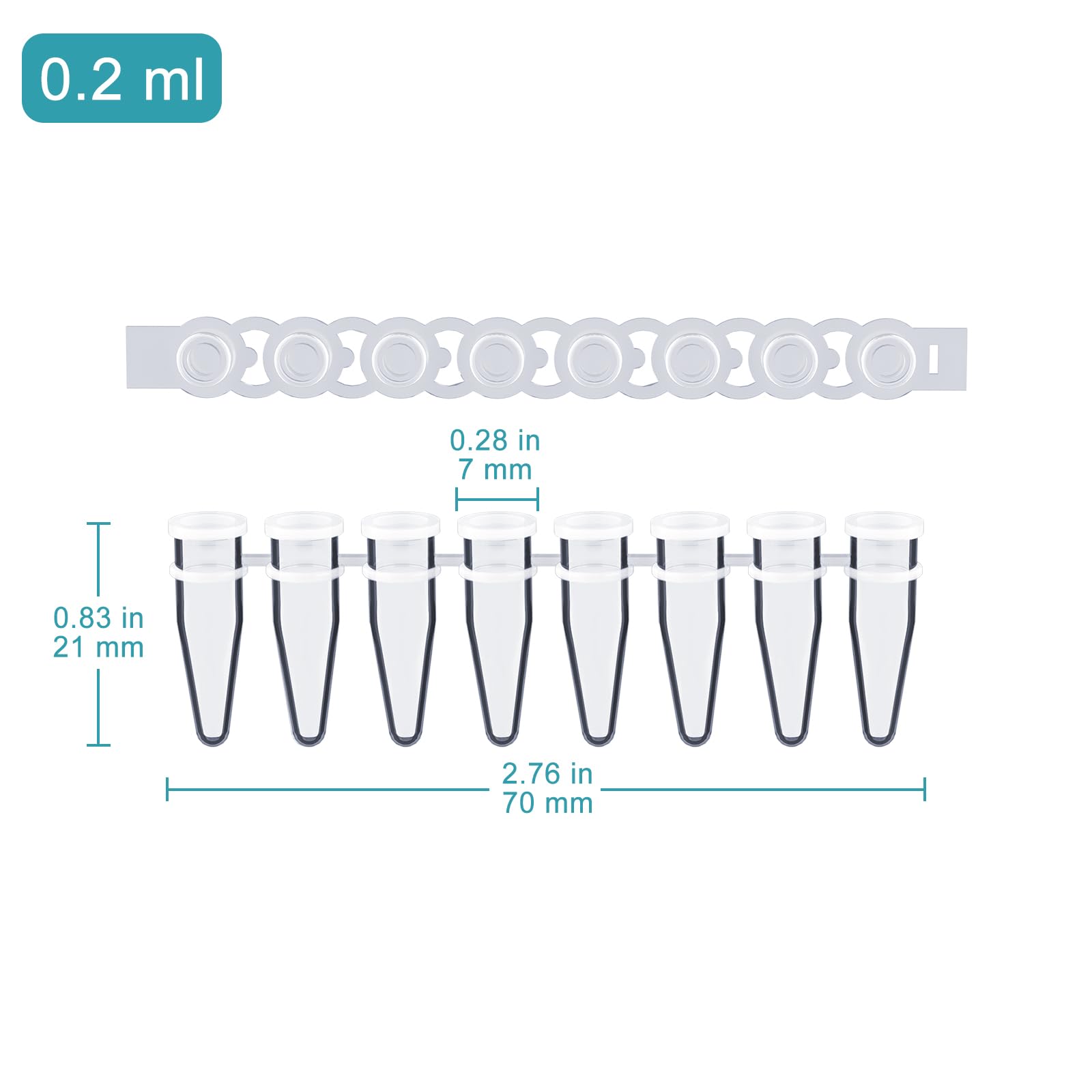 stonylab 8-Strip Tubi PCR, Pareti Sottili con Capsule Piane, 200 Pezzi, Cristallo Trasparente per Ottimale qPCR e Ciclo Termico PCR, 0.2 ml