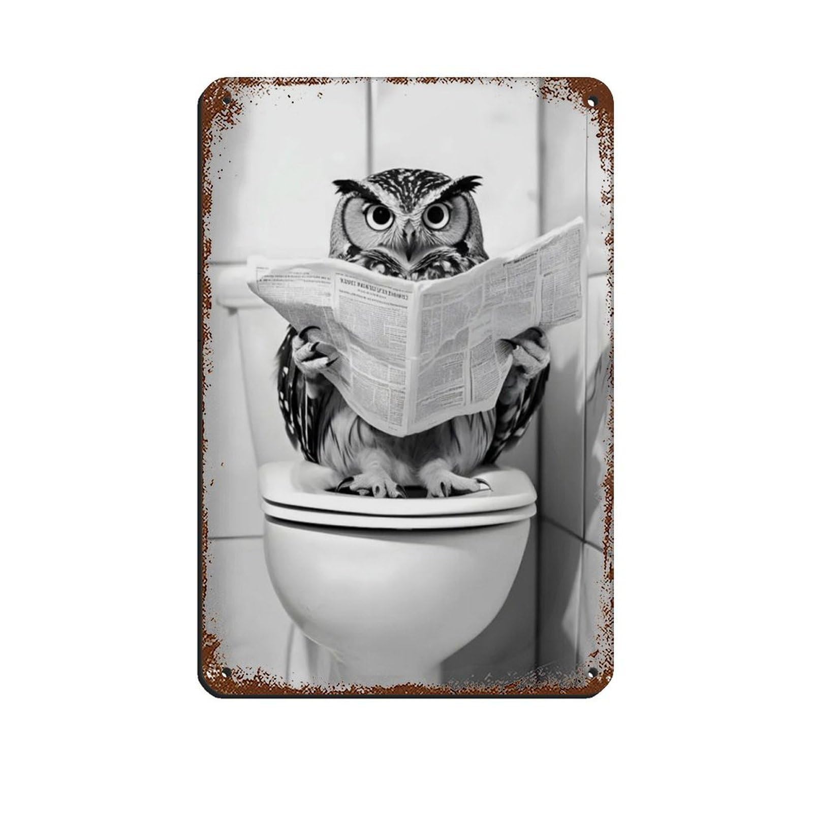 Owl Sitting on The Toilet Reading A Newspaper (2) Retro Poster Metal Tin Sign Chic Art Retro Iron Painting Bar People Cave Cafe Family Garage Poster Wall Decoration 8x12inch(20x30cm)