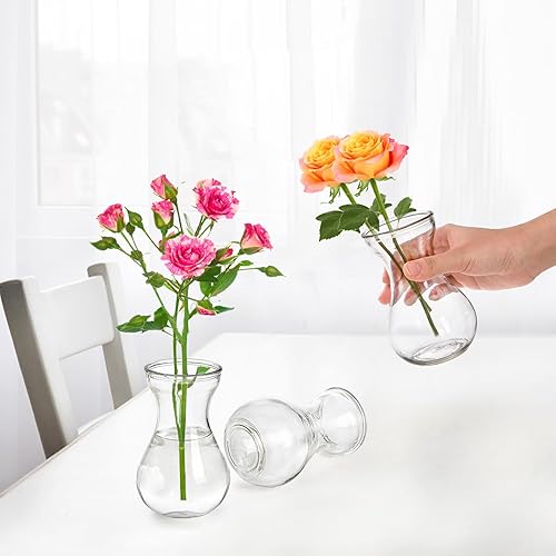Miniatura 7 de ZOOFOX Juego de 12 jarrones de cristal para centros de mesa, pequeño jarrón transparente para flores, jarrones de cristal a granel, bonitos