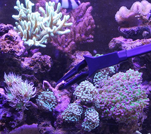 Aquatichi Aquarium Tongs 27 Inch (70 Cm), 100% Reef Safe, Multi Purpose For Fresh And Saltwater Fish Tanks, Clip Plants, Spot Feed Fish And Coral, Keep Hands Dry #TOP1
