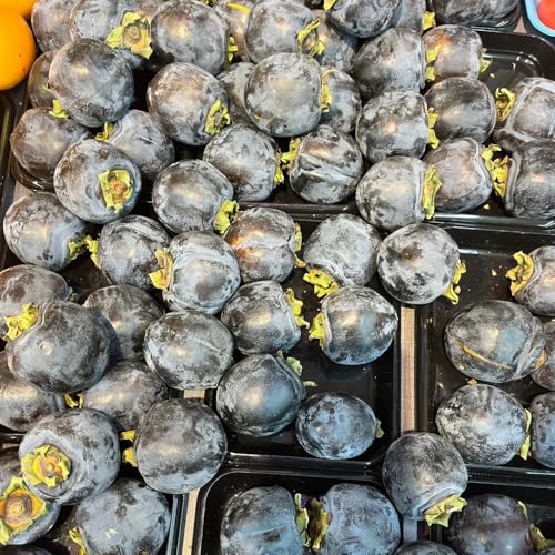 Semillas de diospyros digyna - caqui negro - kaki, balcón resistentes, pudín de chocolate con zapote negro, caqui resistente 35pcs