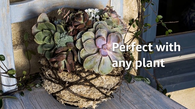 Amazon.com: SuperMoss Super Moss 759834904304 Planter Plant Hanger