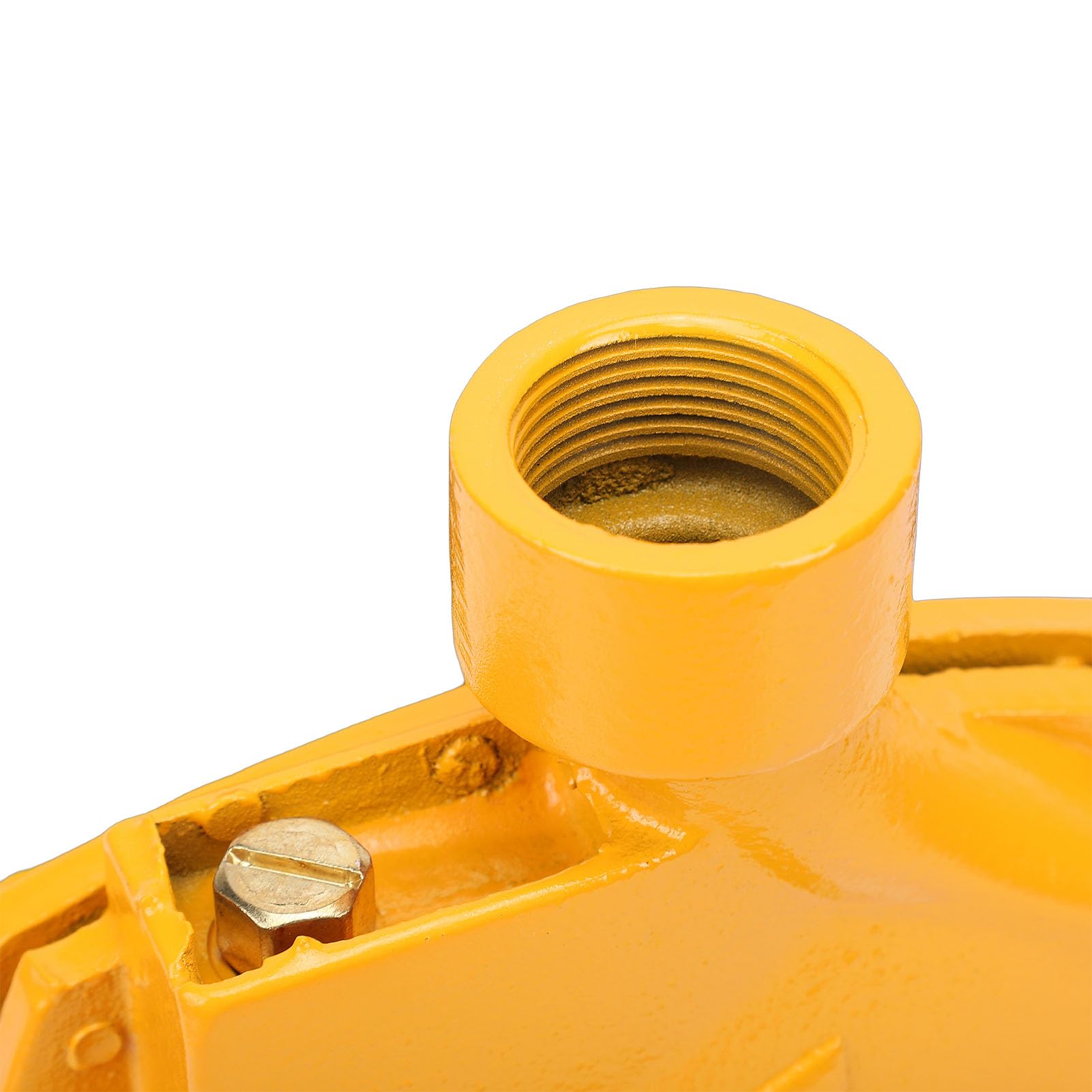 Pompa Centrifuga, Pompa Acqua Autoadescante da 750 W con Uscita da 1 Pollice e Design con Doppio Cuscinetto a Sfera, Pompe Booster Silenziose per Irrigazione del Prato (Spina europea 220 V)