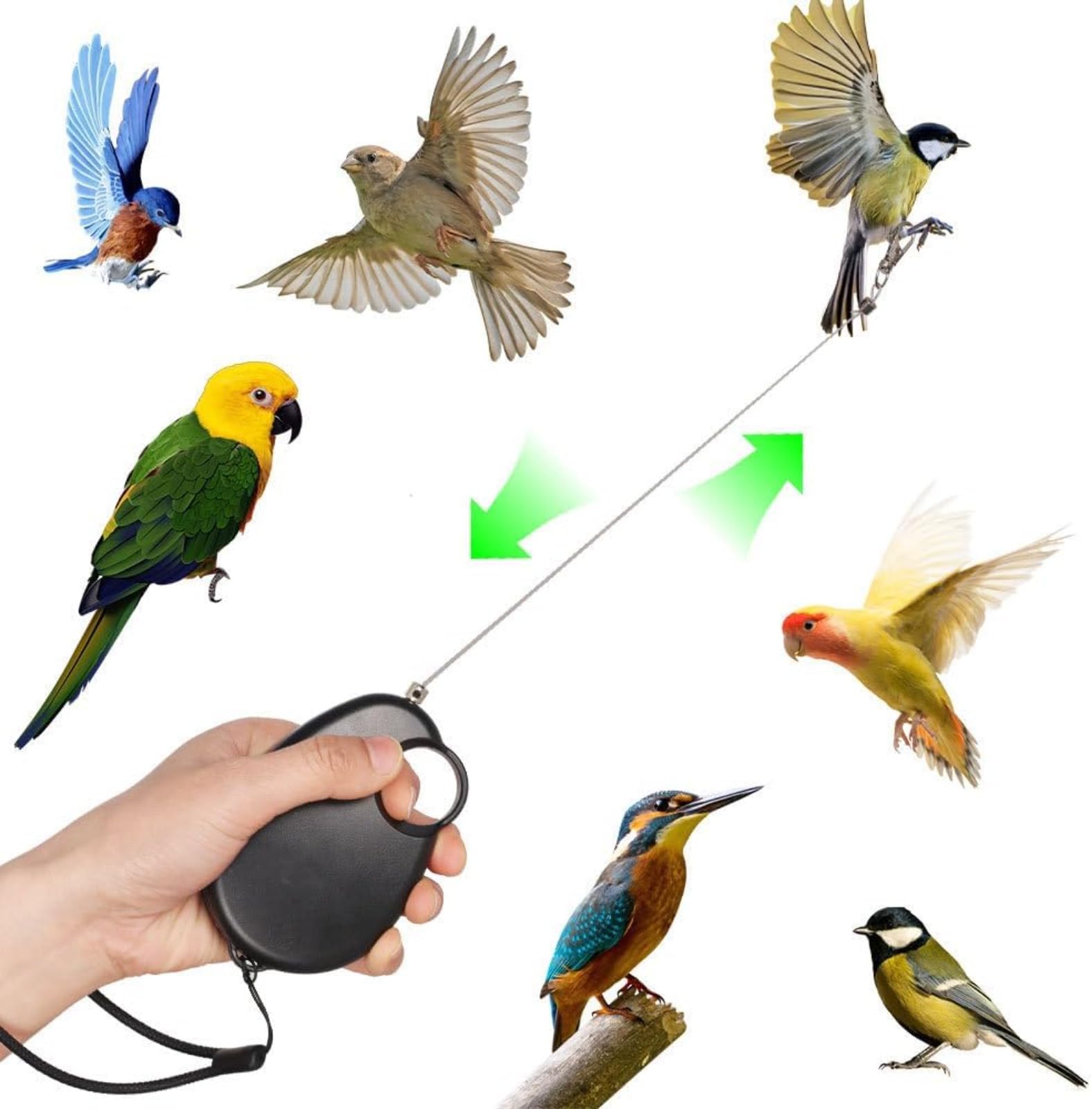Laisse Rétractable pour Oiseaux, 6mCorde Volante pour Perroquets, Fil d'acier Anti-Morsure,Harnais réglable pour Perroquet,Harnais pour Perroquet Laisse,pour Perruches, Calopsittes, Inséparables, Pins