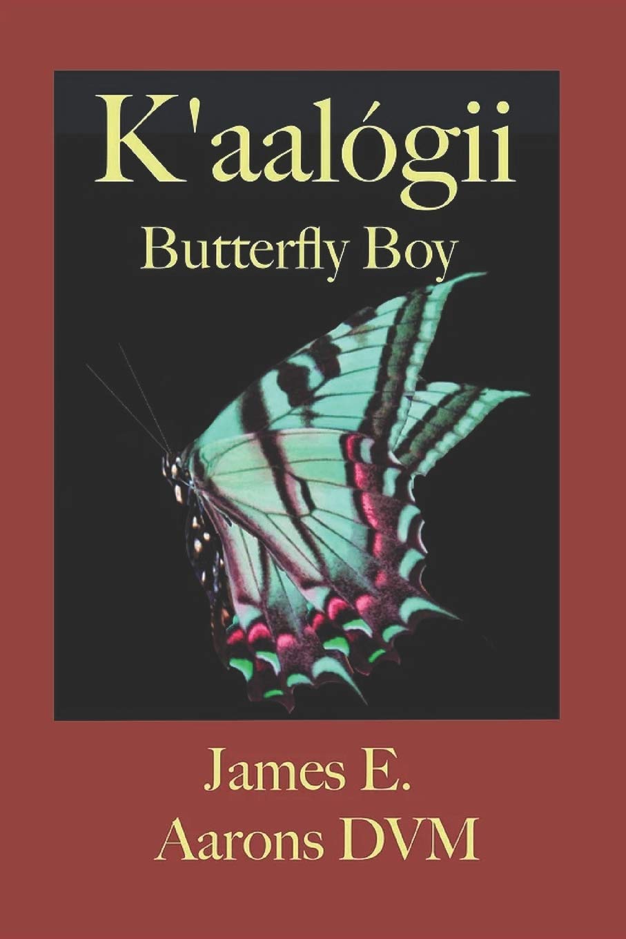 K'aalógii, Butterfly Boy