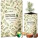 Produktbild Weihnachtsbaum Anzuchtset I Weihnachtsbaum zum selber Pflanzen I Adventskalender Füllungen, Weihnachtsgeschenke Mini Geschenke für Adventskalender Wichtelgeschenk I Samen Ideen für Adventskalender