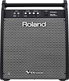 Roland PM-200 Personal Monitor