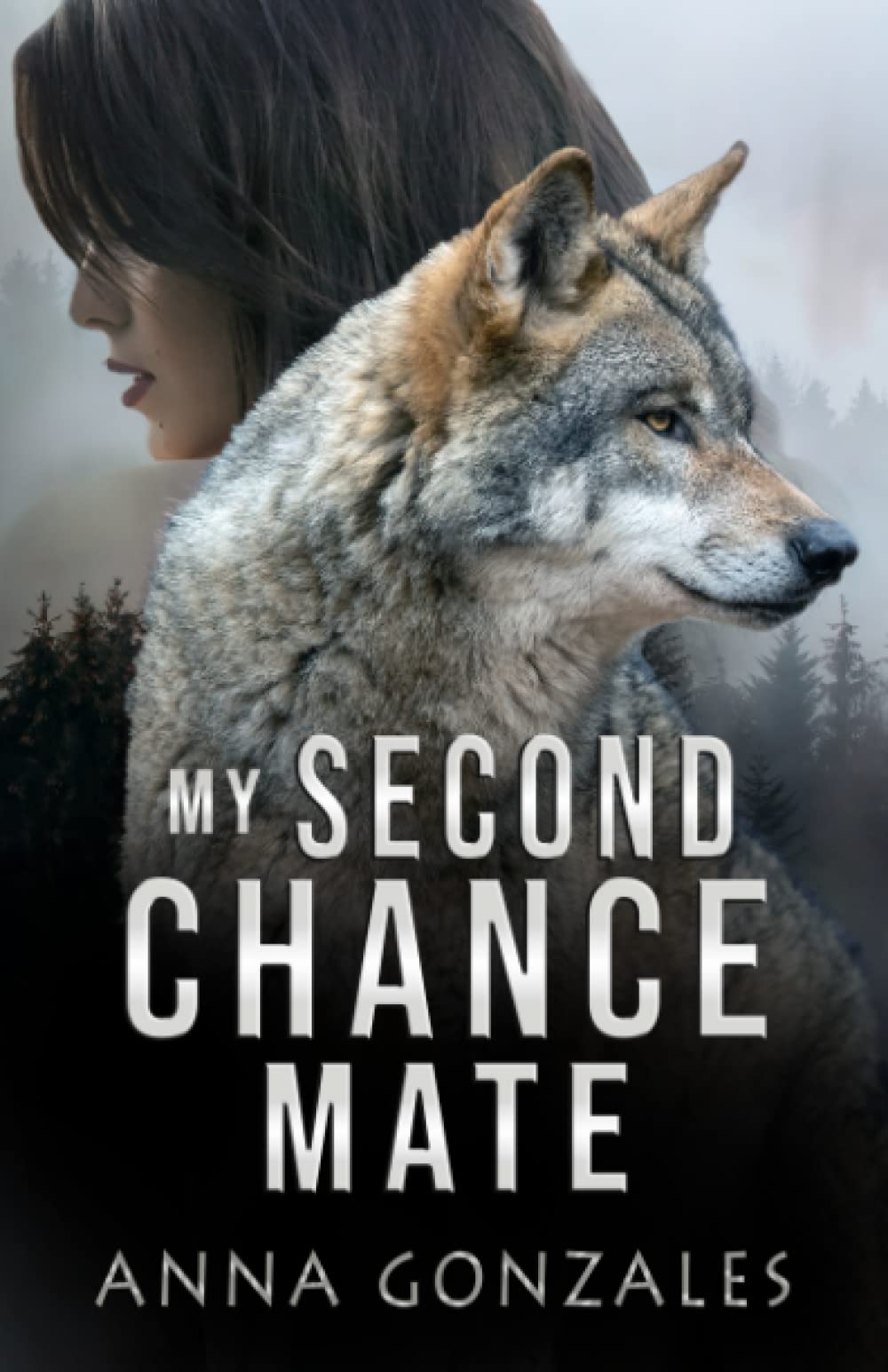 My Second Chance Mate: A Shifter Romance