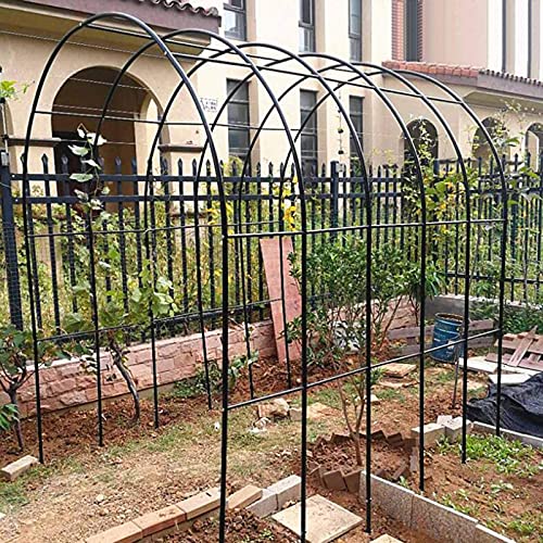 Aide à l'escalade pour rosier grimpant et arche de jardin - 4