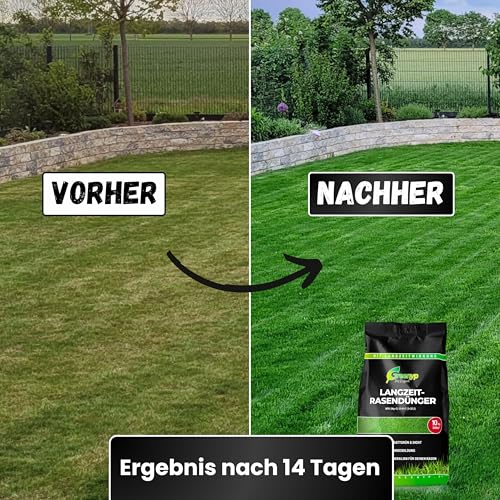 Greenyp Langzeit Rasendünger Frühjahr I 10kg für 300m² I mit Langzeitwirkung & Depotwirkung für Frühjahr bis Spätsommer I verhindert Moosbildung I NPK Dünger Rasen Dünger