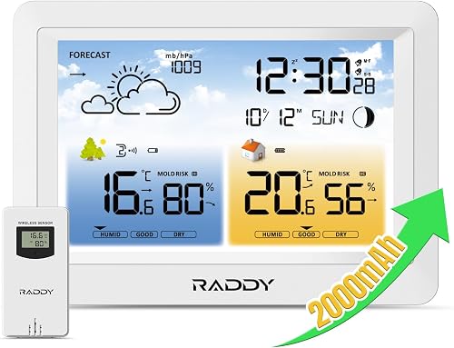 Station météo sans fil Raddy WM6 avec capteur à distance 