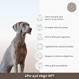 Ver la foto 2