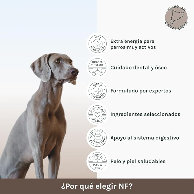 Foto 2 de 6 de Pienso para Perros Alta Energía 12 kg Pollo y Arroz - Alimento Completo para Perros Adultos Activos