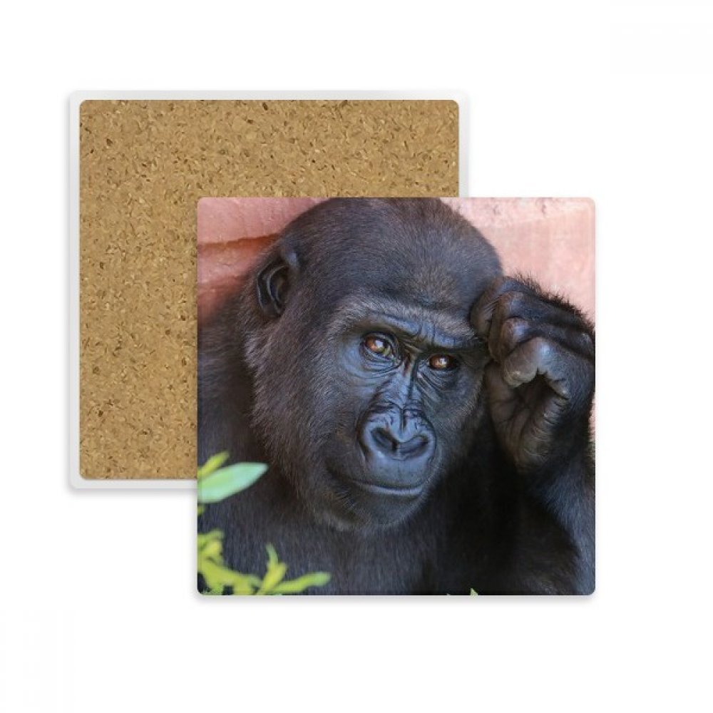 Tasse coaster chimpanzé en pierre absorbante une idée cadeau animaux sauvages