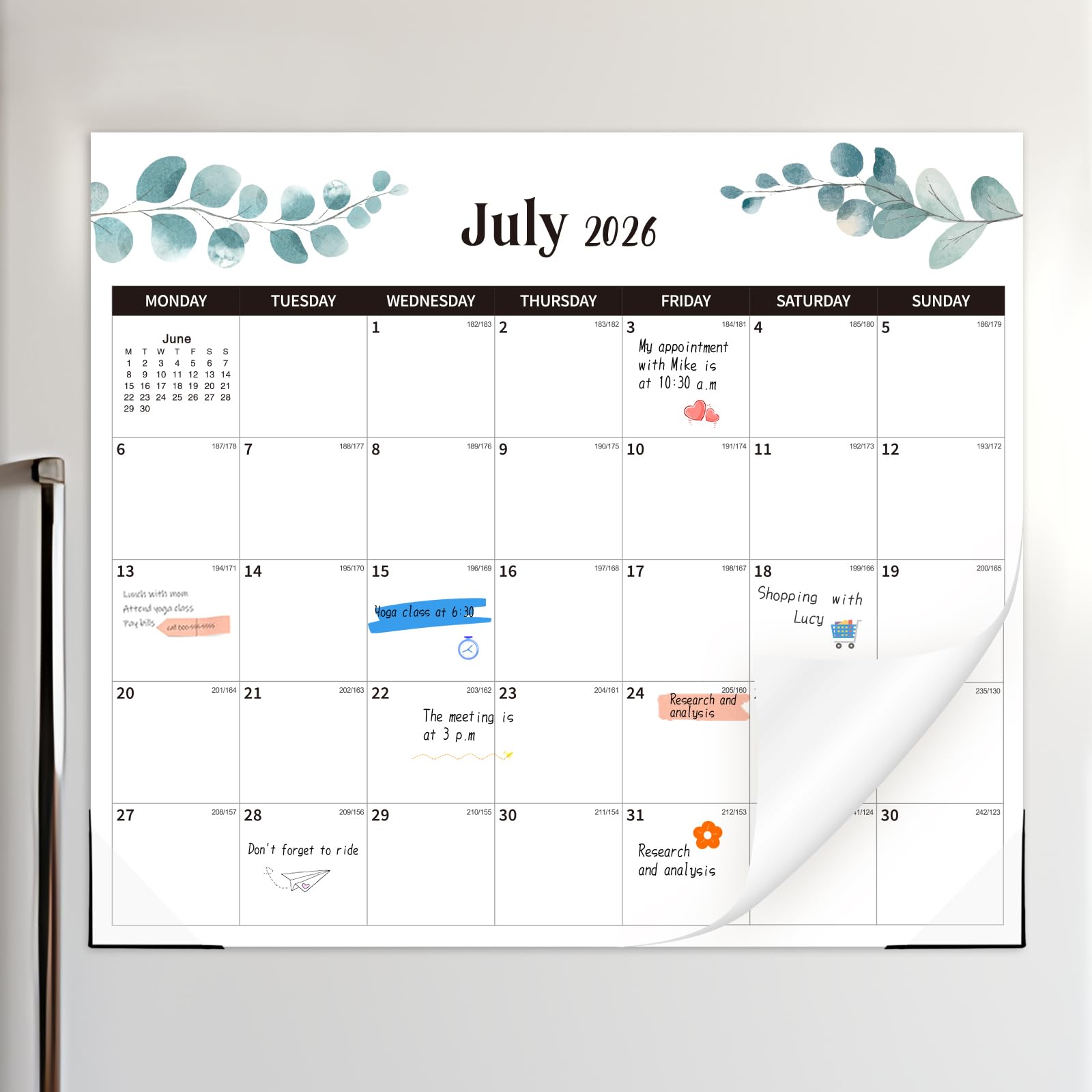 2026 2027 Magnetic Calendar for Fridge, Fridge Calendar from Jul 2026 to Dec 2027, Family Calendar 2026/27 Month to View for Daily Monthly Plan, Thick Paper 18 Months, 29 X 33 cm