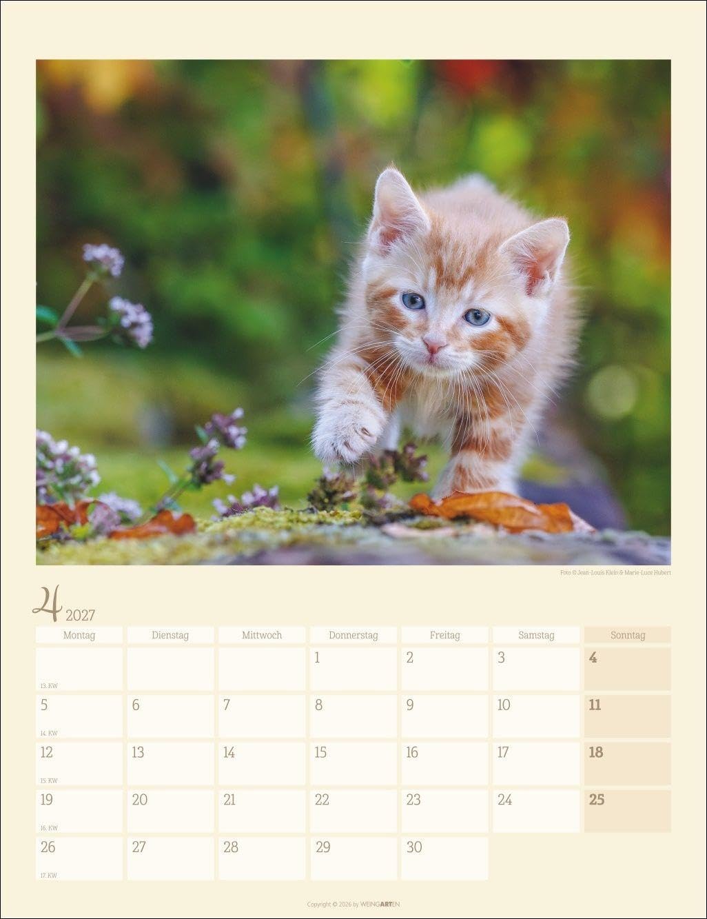 Katzen auf dem Lande Kalender 2027: Süße Kätzchen in ländlicher Idylle: Ein Foto-Kalender zum Dahinschmelzen. Planer mit Platz zum Eintragen. Hochformat 30 x 39 cm