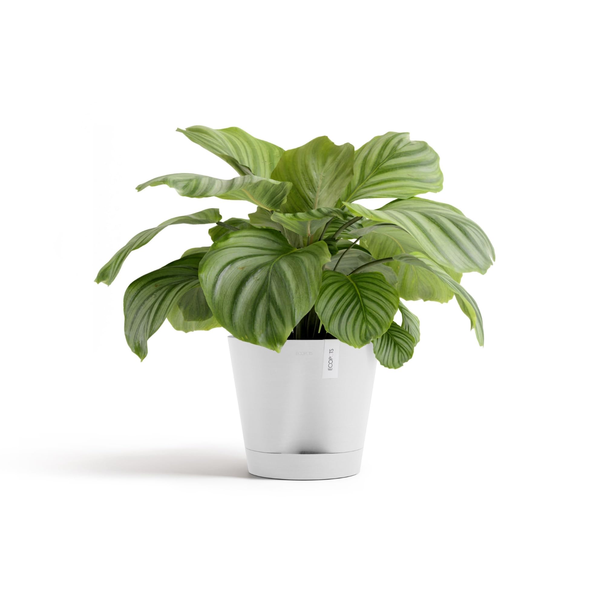 Ecopots Venedig 2 Pflanzengefäß selbstbewässernd, stilvoll mit Wasserspeicher, aus recycelten Materialien, UV-beständig, Outdoor & Indoor