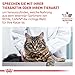 Royal Canin Expert Calm Trockenfutter | 4 kg | Alleinfuttermittel für ausgewachsene Katzen | Möglicher entspannender Effekt | Hydrolysiertes Milchprotein und L-Tryptophan
