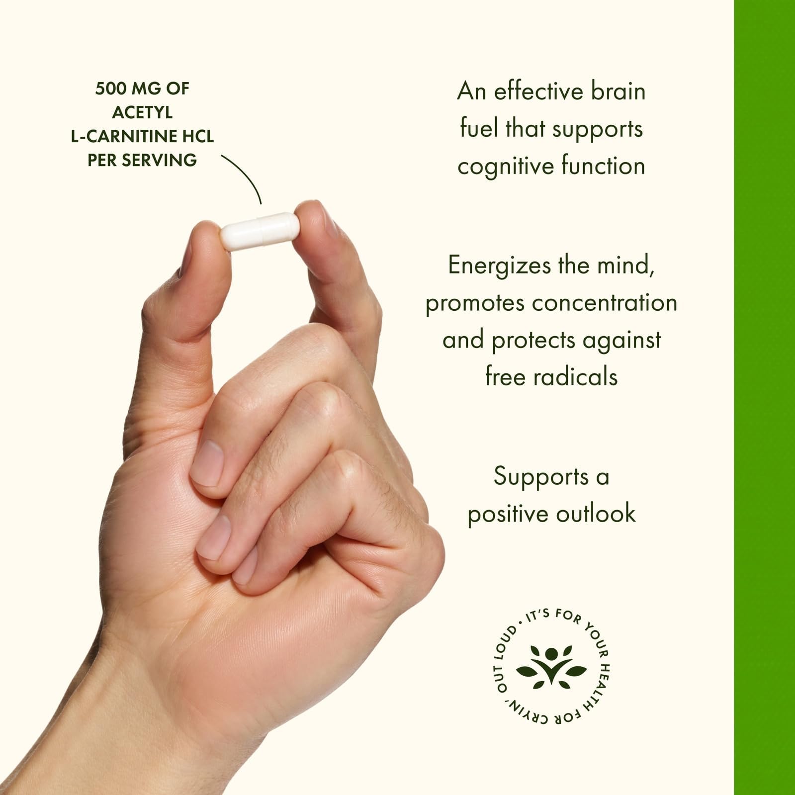 swanson acetyl l-carnitine 500mg 240 capsules Acetyl L-Carnitine 500 mg 100 Caps by Swanson Tajikistan