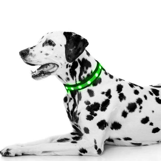 Foto 3 de 6 de QQY Collar de Perro led, Collar de Mascota Impermeable y Luminoso Cargado por USB con 3 Modos de Collar…