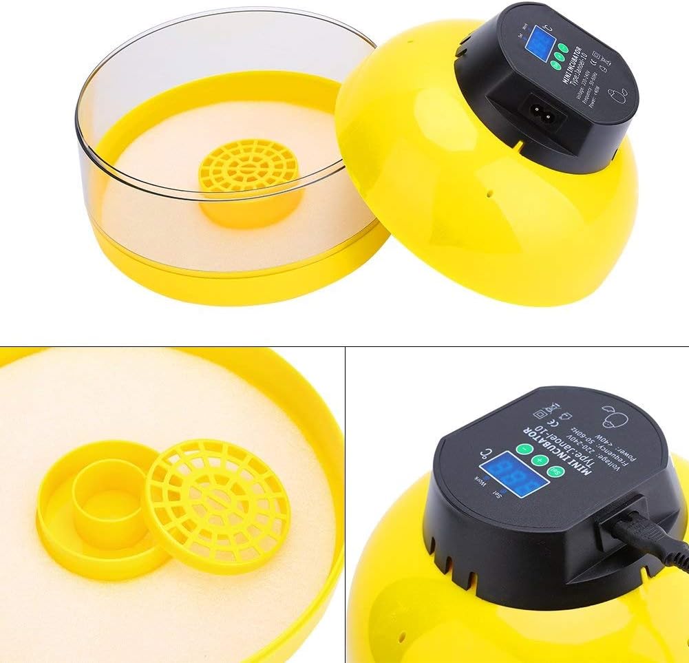 ALREMO 103234536 Egg Incubator 10 Eggs Mini Digital Incubator for Chicken Goose Duck Poultry Hatcher with Egg Tray Temperature Control : Patio, Lawn & Garden