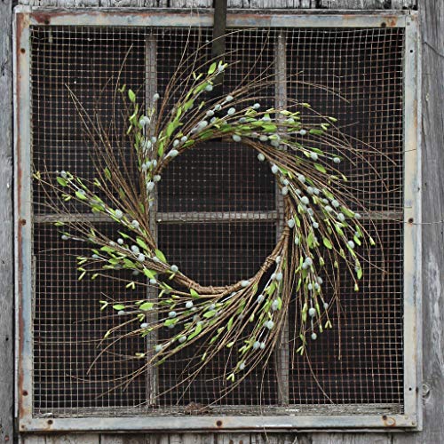Darby Creek Trading Pussy Willow Everyday All Seasons Spring Summer Front Door Wreath