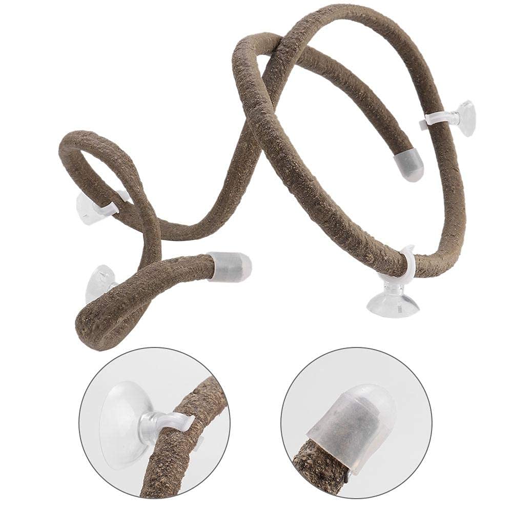 Gałąź wspinaczkowa dla gadów 4,92 stopy Elastyczny gad Jungle Vines Terrarium Rattan Pet Habitat Decor z przyssawkami dla jaszczurek Wspinaczka po gekonach (L)