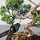 Wazakura Aluminium Bonsai-Trainingsdraht 150 g, Hergestellt in Japan, Zweig und Stammformung - 3,0 mm Schwarz