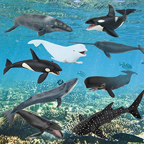 Sea Marine Animal Figures Ocean Creatures Action Models Figurine Whale Ornament Education Cognitive Toy For Boys Girls Kid 5 6 7 8 Years Old(9 Pcs) #TOP3