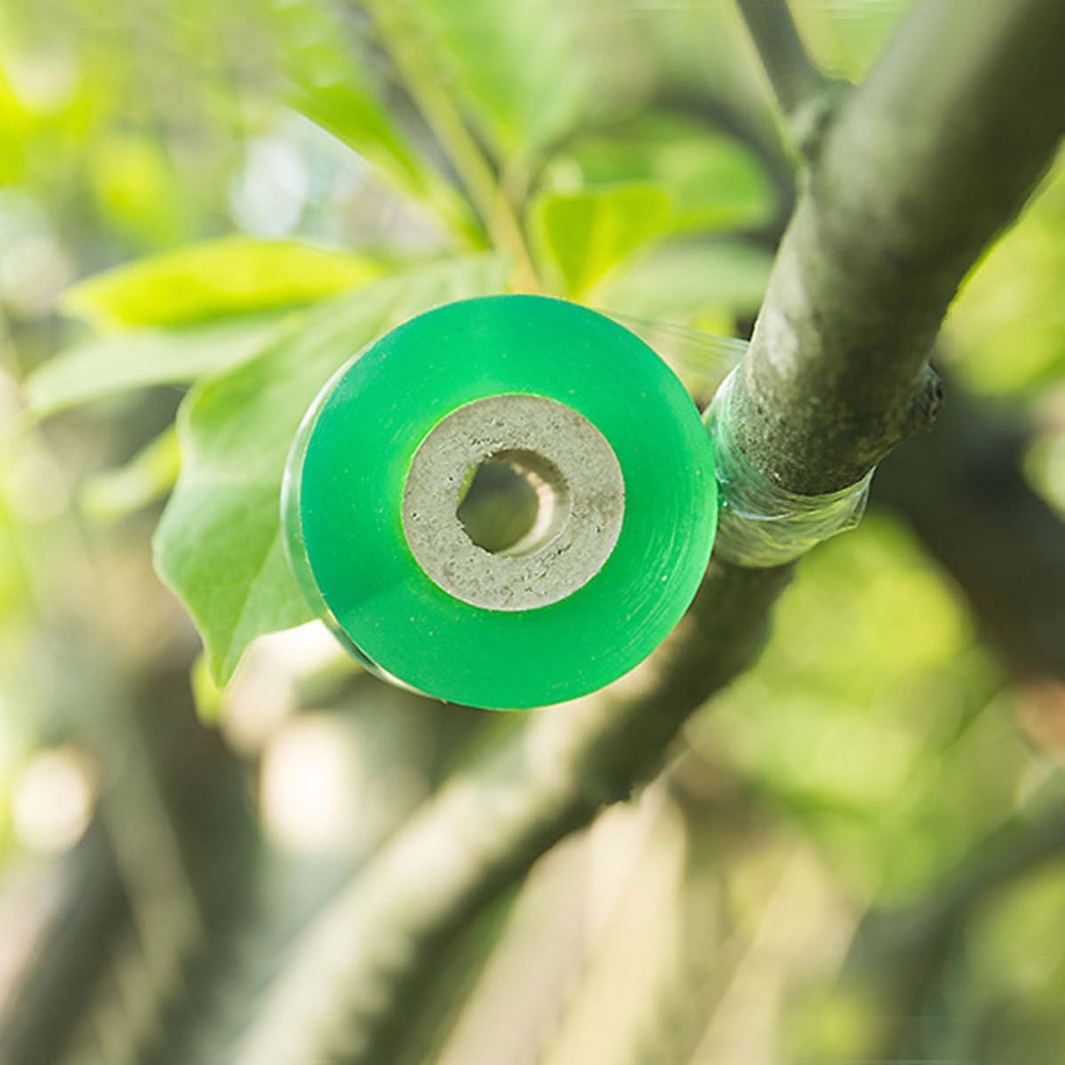 4 Rolls CM Green PVC Grafting Tape for Fruit Trees, Stretchable
