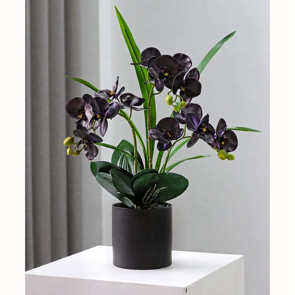 Set di Fiori Artificiali, Composizione Floreale di Phalaenopsis Finta, Bonsai di Orchidea Artificiale in Vaso, Pianta di Fiori Artificiali per Centrotavola di Nozze, Decorazio