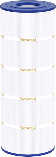 Filtro de piscina compatible con CS100, R0462200, PJANCS100, C-8410, FC-0821, 1 paquete.