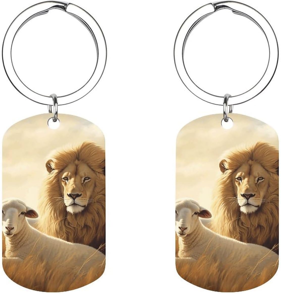 Metal Keychain Double Sided Car Key Ring for Everyday Carry