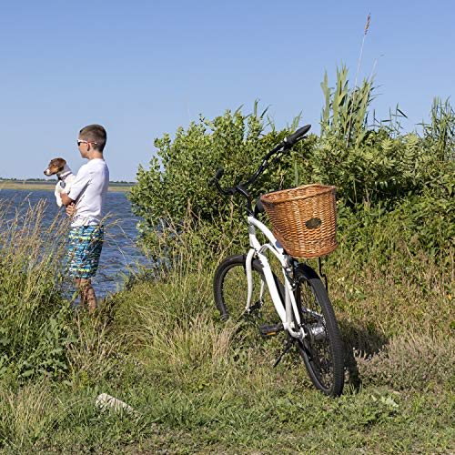 Cape May Large Rear Mount Willow Bicycle Basket for Dogs - Hand Crafted by Beach and Dog Co - Leashes and mounting… - Image 4
