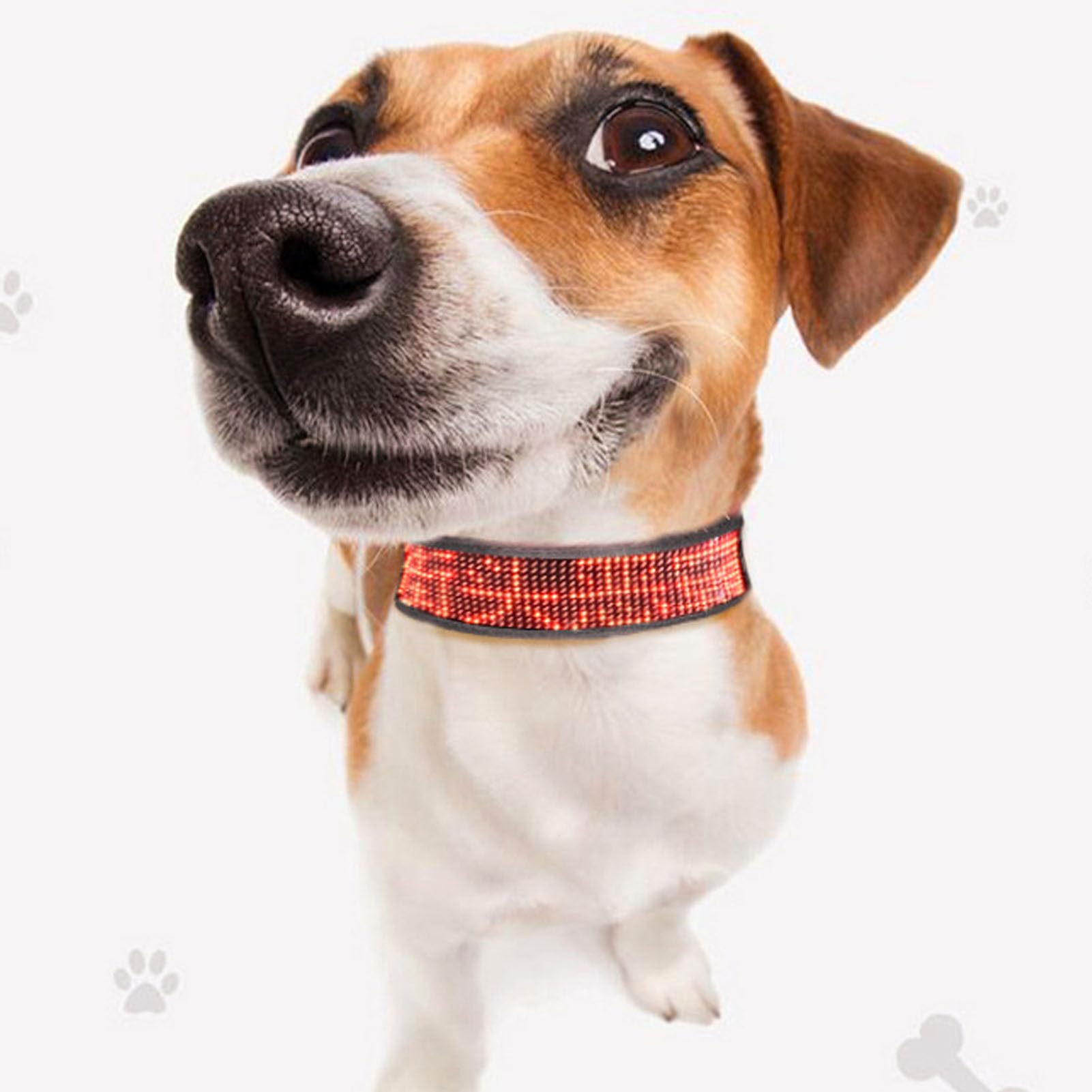 Collare per Cani a LED Programmabile Ricaricabile Luminoso Ad Alta visibilità Collare Luminoso Illuminato Sicurezza per Cani Lampeggiante Collo Luminoso BT Trasmette