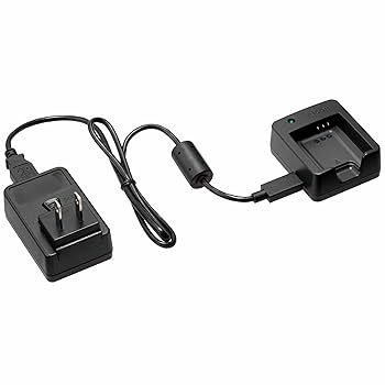 RICOH - RICOH GR APS-C純正バッテリー　充電器　おまけ付き　難あり動作品 リコー RICOH バッテリー充電器 BJ-11 バッテリーチャージャー