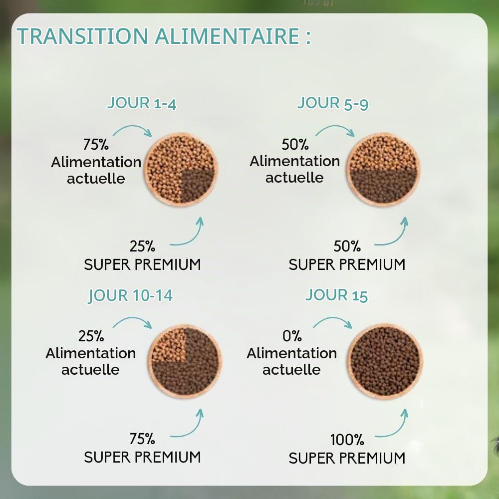 NUTRIVET - Super Premium - Adulte Balance - Croquettes sans Blé - Chien - Riche en Protéines Animales - 15 kg
