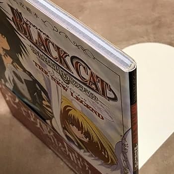 機械仕掛けの天使 リミテッドパックと攻略本 機械仕掛けの天使 リミテッドパックと攻略本 - メルカリ