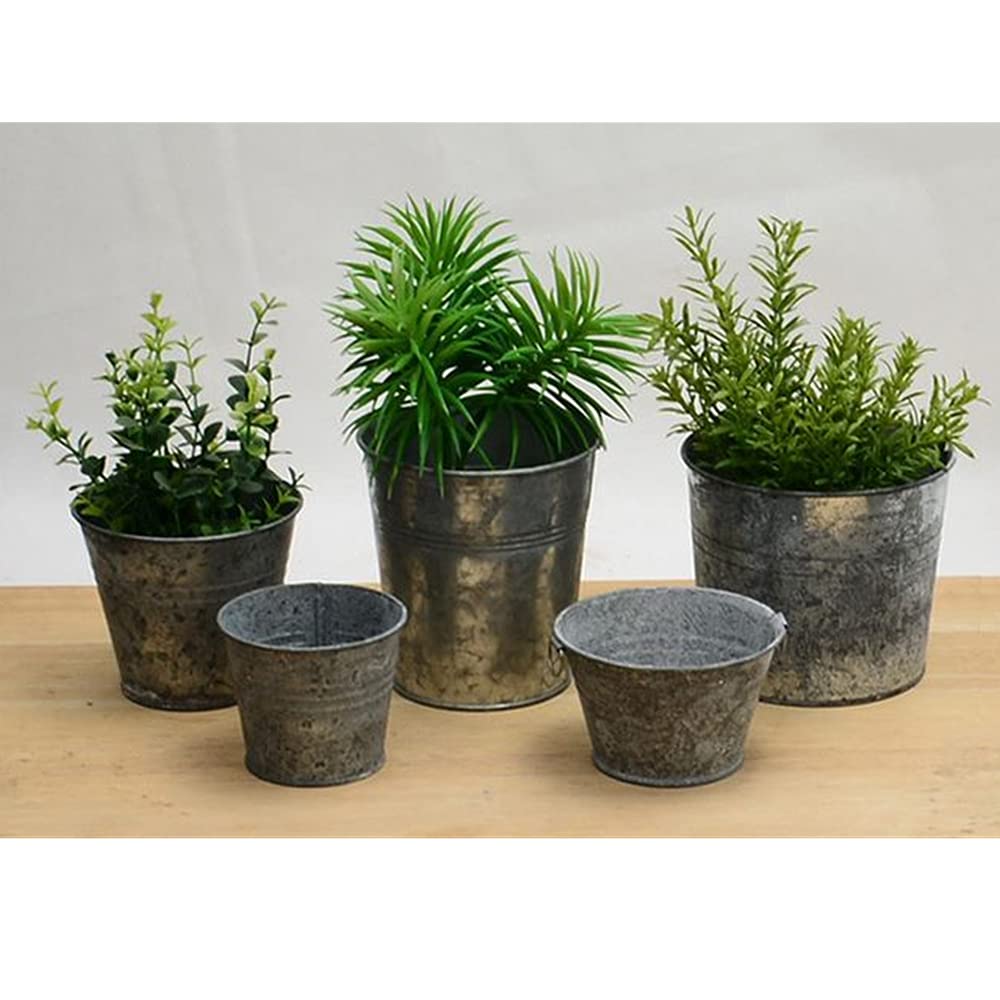 5 Pots Suspendus En Métal Blanc - Pour Balcon, Jardin Ou Intérieur - Sans Trou De Drainage - Diamètre 10.2cm
