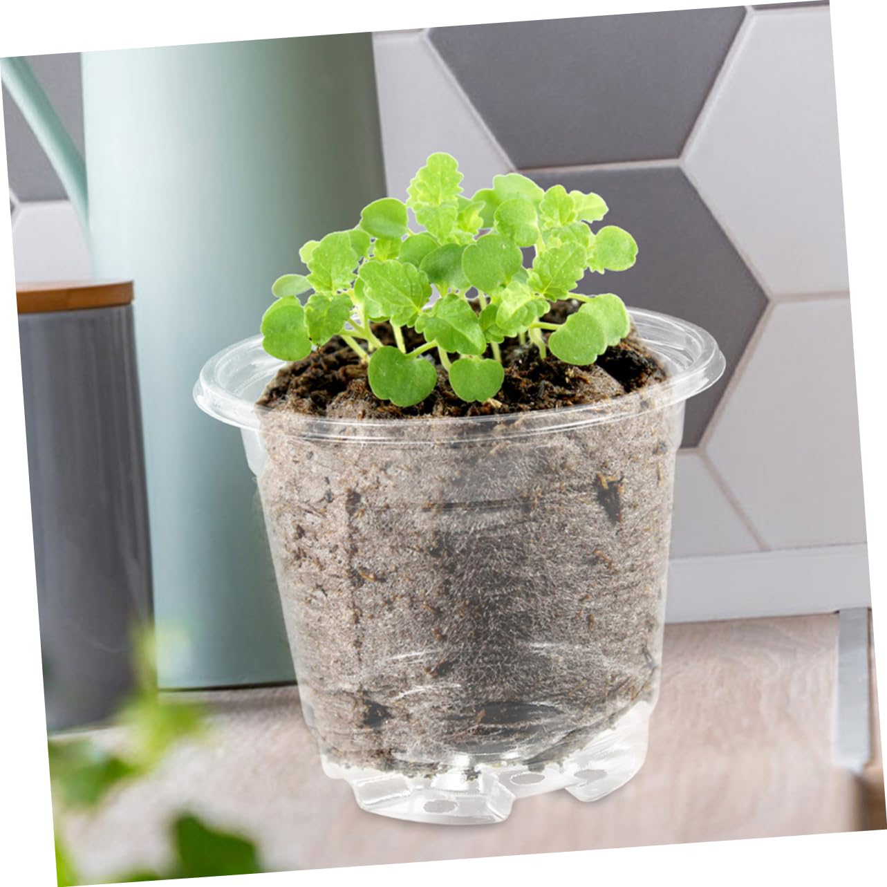 TOYANDONA Lot de 10 Sets de Petits Pots de Fleurs avec Couvercle Trous de Drainage Ajustement Température Humidité Jardinage Intérieur Extérieur