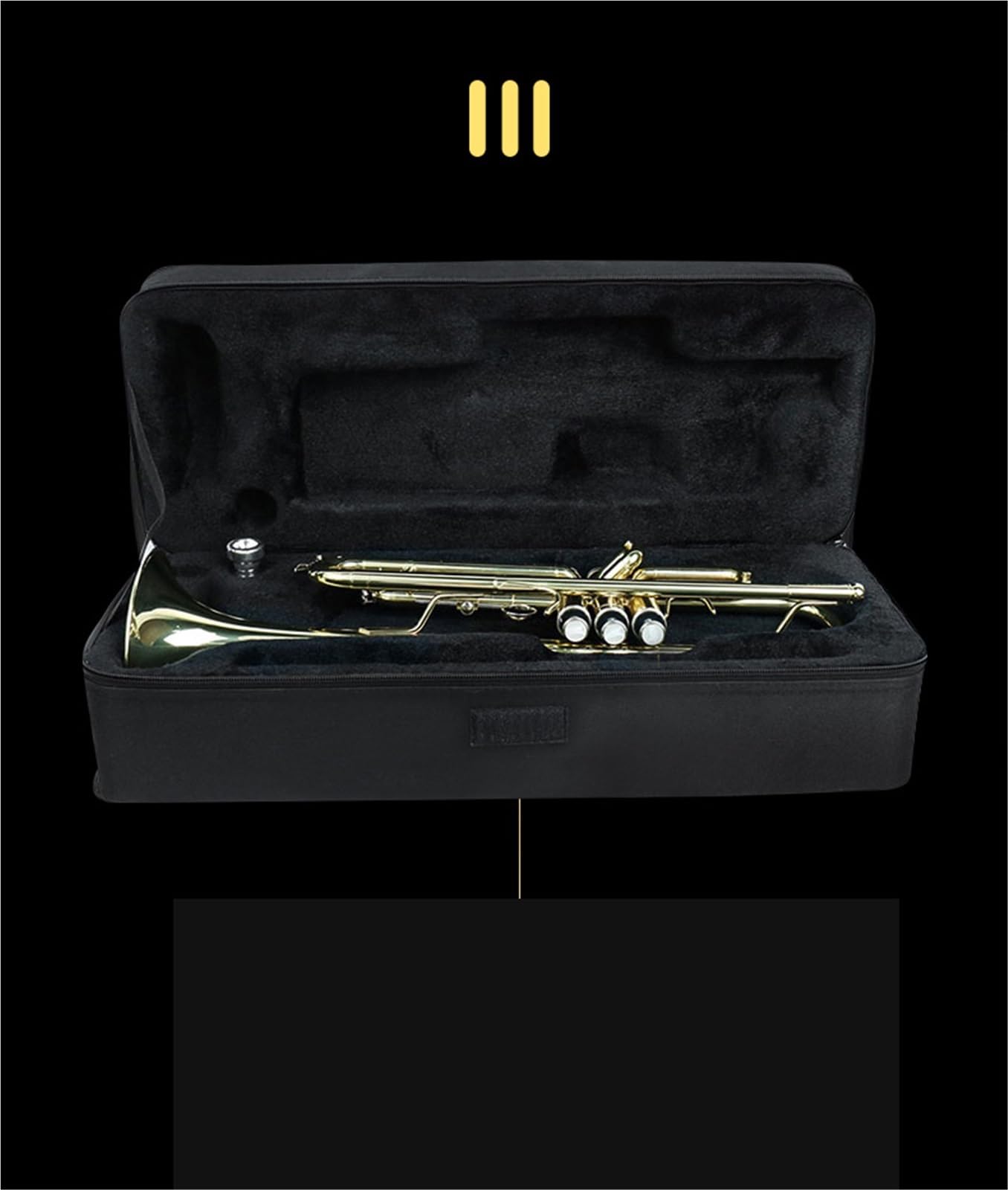 Ensemble Di Trombe Standard Tromba In Sib Per Principianti Strumento Professionale Oro