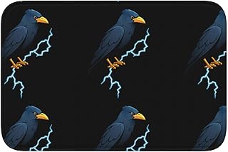 Anti Slip Thickened Floor Mat XBKGOHA Lightning Crow Picture Non-Slip, Easy to Clean, Durable,Perfect for Toilet Bathroom 60x40cm