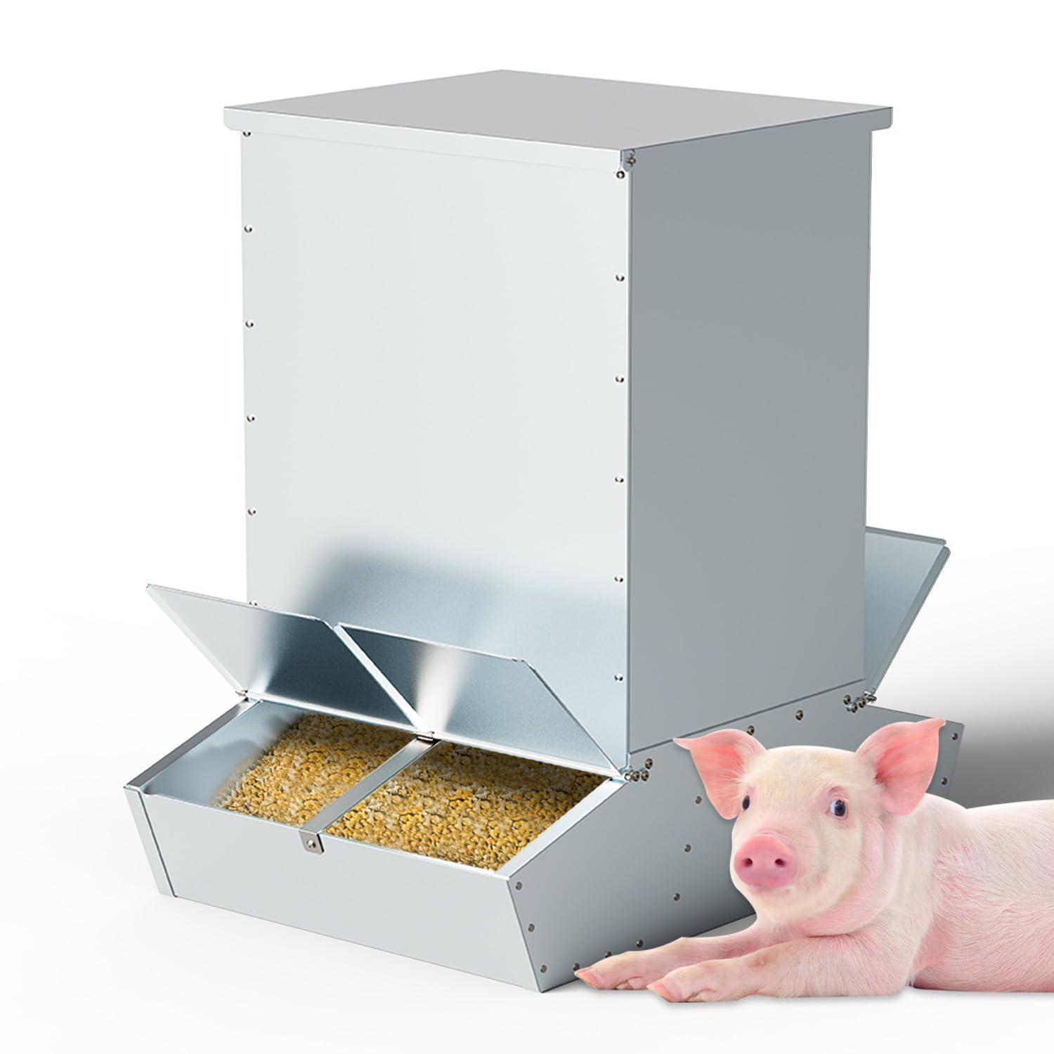 BUYYAH 4 Door Hog Feeder