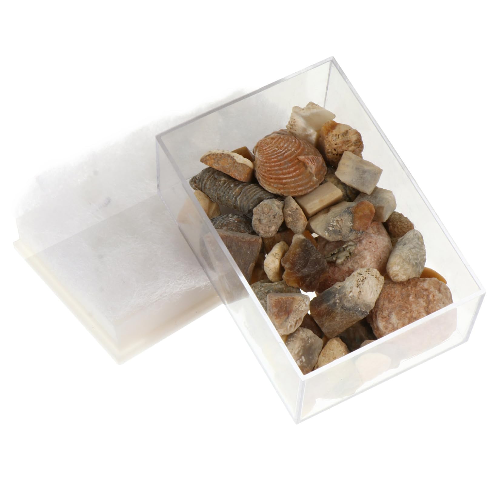 Muestras educativas de minerales para aprender ciencia en familia y decorar tu escritorio