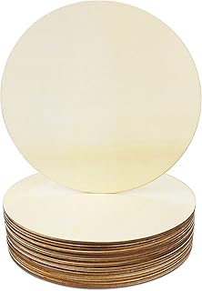 20Pcs 8 Inch Wood Rounds for Crafts, Unfinished Wood Circles Discs Blank Wood Signs to Paint, DIY Supplies, Home Christmas Halloween Decorations