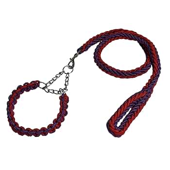 Amazon | Avidora 犬 リード ハーフチョーク チェーン ロング