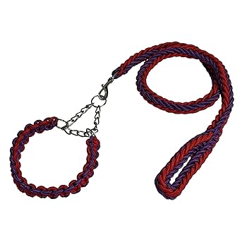 Amazon | Avidora 犬 リード ハーフチョーク チェーン ロング