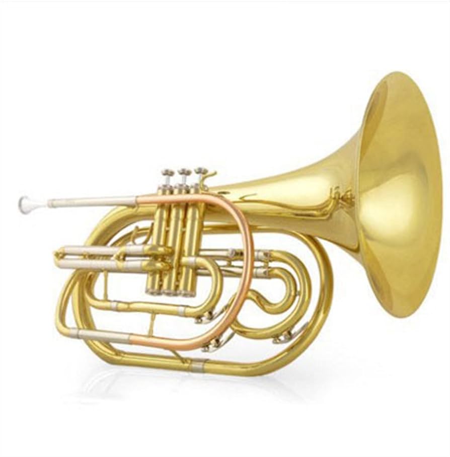 フレンチホルン　ホルン　ジャンク Yahoo!オークション -「ジャンク品」(フレンチホルン) (ホルン